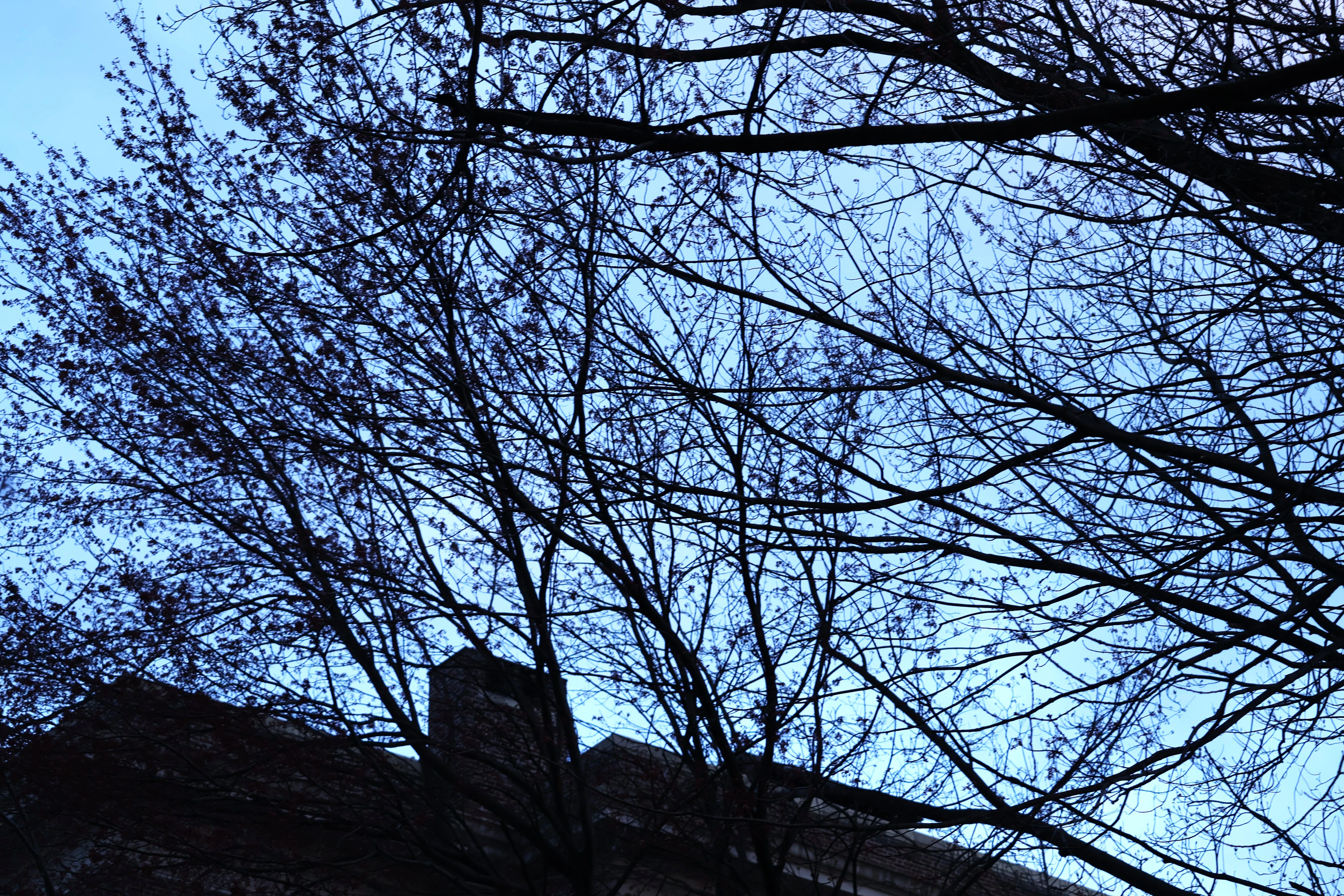 photo of buildings
